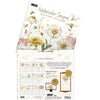 Watercolor Seasons 2026 | Wall Calendar