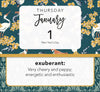 Positive Vibes | 365 Daily Thoughts Boxed Calendar