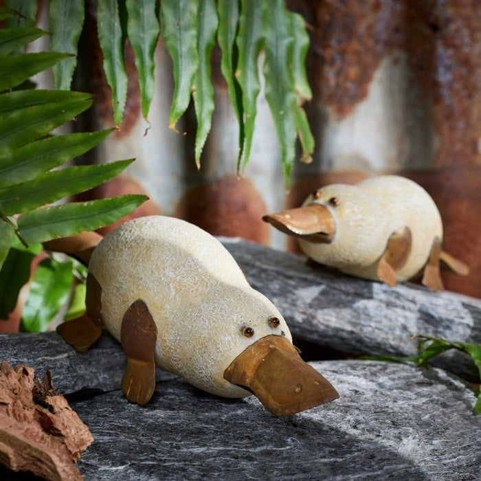 Platypus Poly Rust