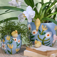Duckling Pot Sitters