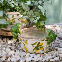 Frog Pot Sitters