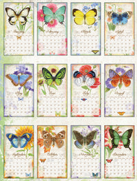 Butterflies 2027 | Wall Calendar