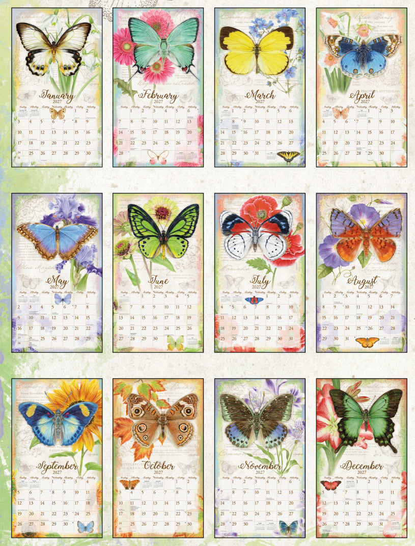 Butterflies 2027 | Wall Calendar
