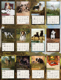 Love Of Dogs 2027 | Wall Calendar