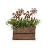 Forget Me Not Stake Rust