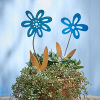 Forget Me Not Stake Blue