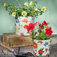 Colourful Flower Pot