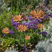 Rust Flower Mix