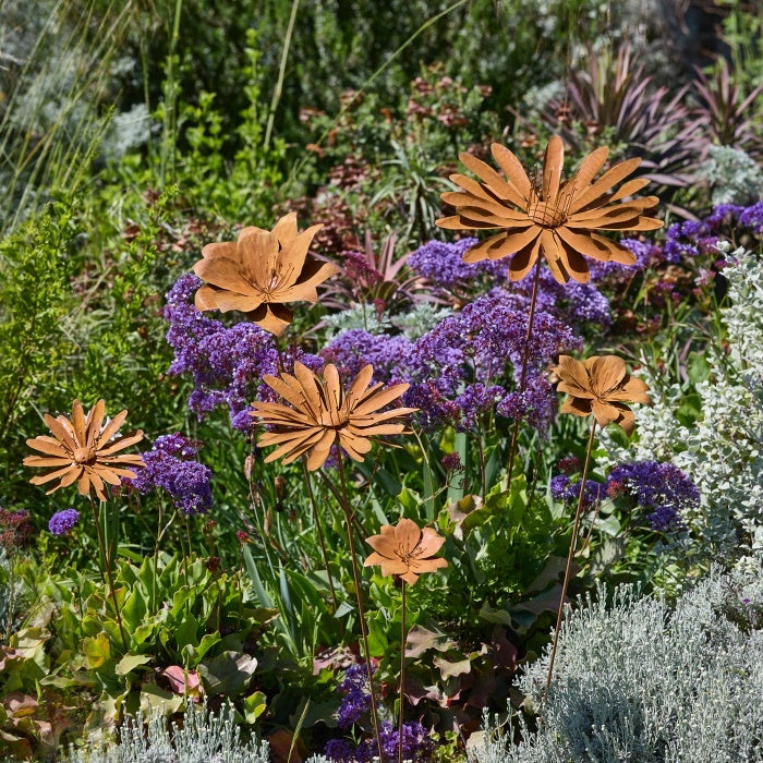 Rust Flower Mix