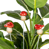 Mushroom Sticks | X Small