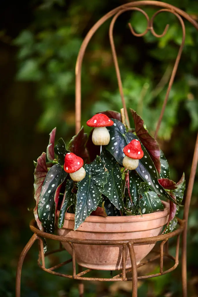 Mushroom Sticks Small