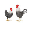 Chicken & Rooster | Black/White