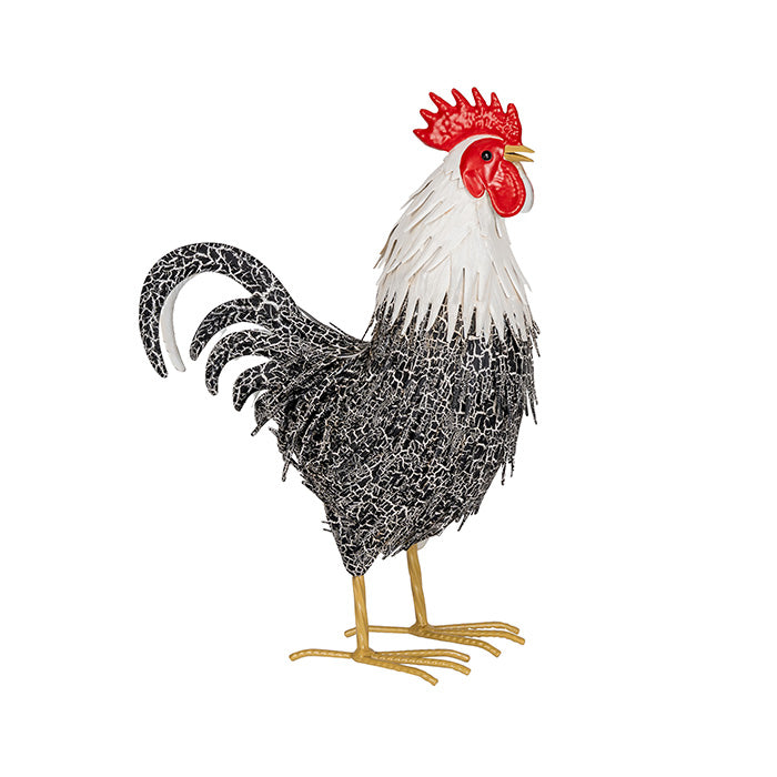 Chicken & Rooster | Black/White