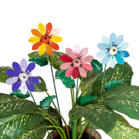 Colourful Industrial Daisy