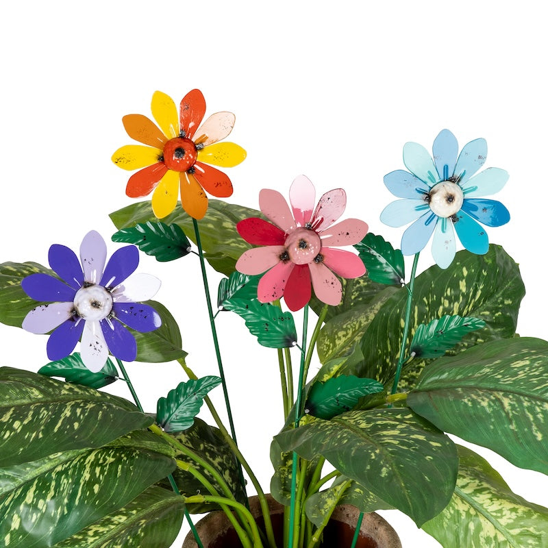 Colourful Industrial Daisy