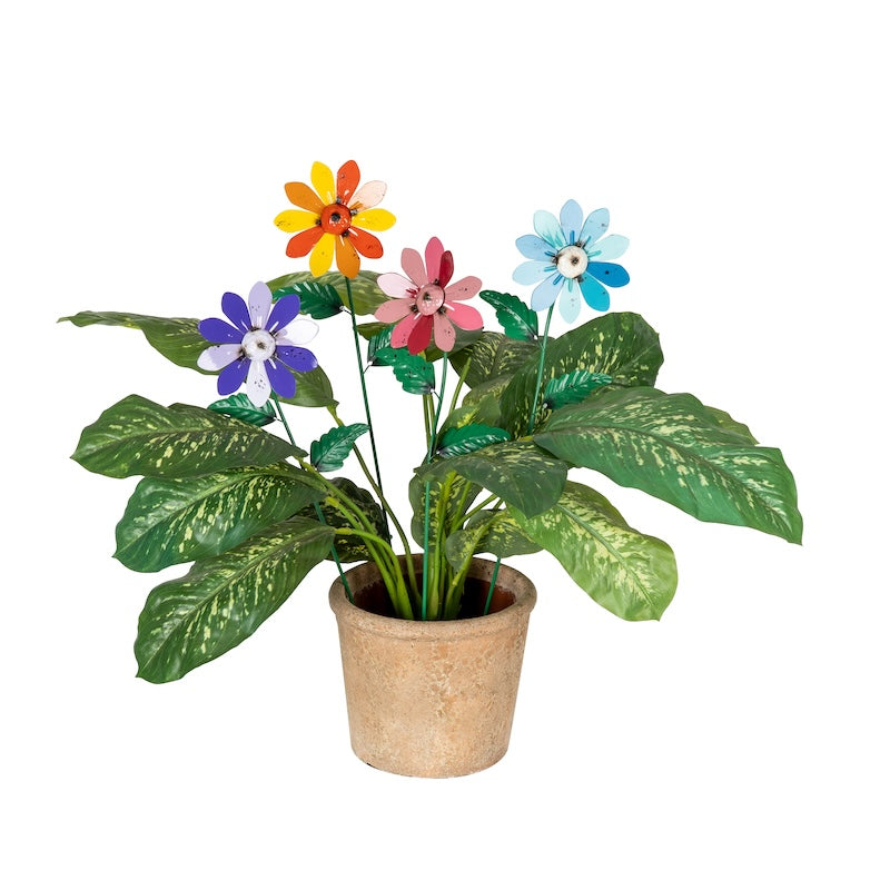 Colourful Industrial Daisy