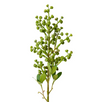 Eucy Nut Pick