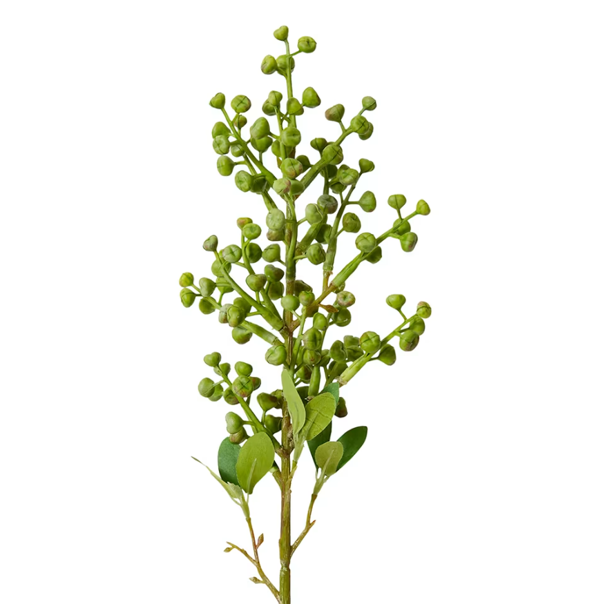 Eucy Nut Pick