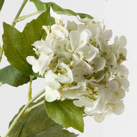 Hydrangea Spray | White Green