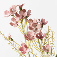 Wax Flower Dusty Mauve