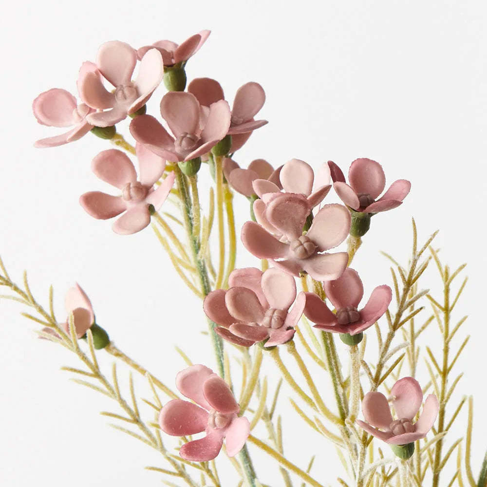 Wax Flower Dusty Mauve