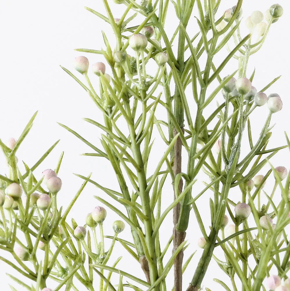 Wax Flower Bud Spray | White