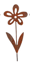 Forget Me Not Stake Rust