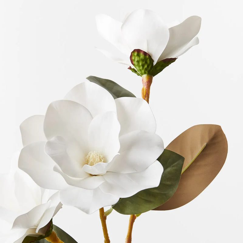 Magnolia Spray | White
