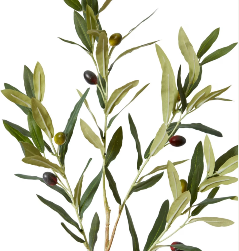 Olive Spray | Grey Green