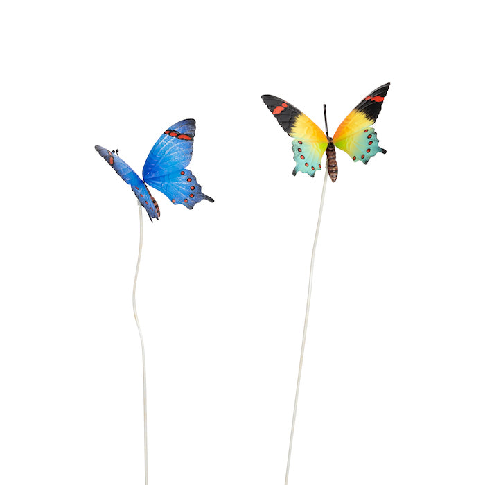 Butterflies Stake Medium