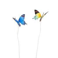 Butterflies Stake Medium