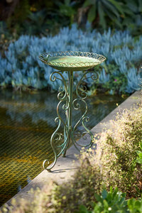 Florentine Bird bath
