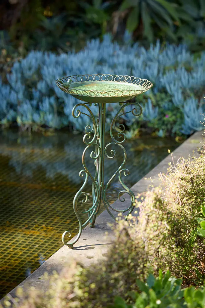 Florentine Bird bath