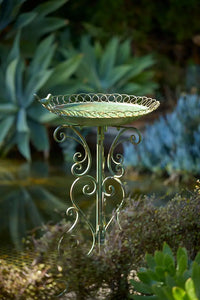 Florentine Bird bath