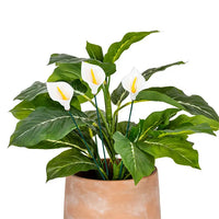 Lily Ceramic Stick