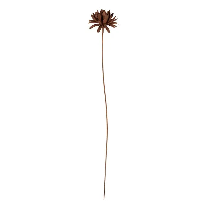 Dahlia Rust Flower