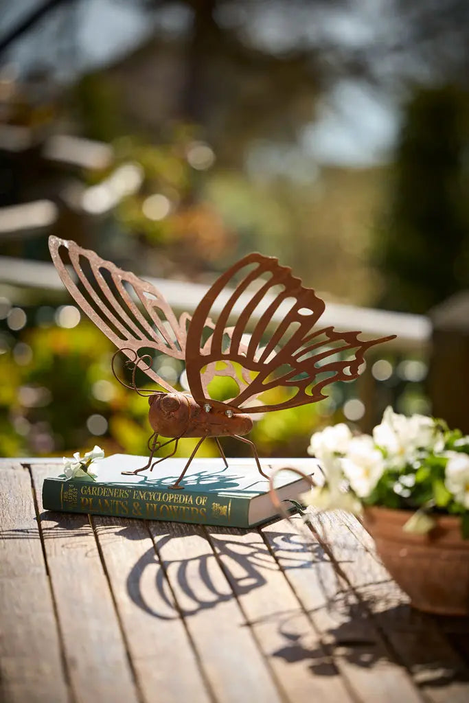 Butterfly Small Standing