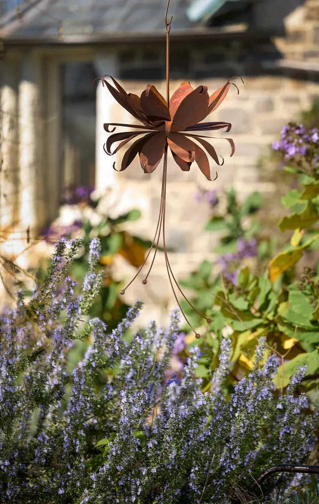Hanging Fuchsia Rust