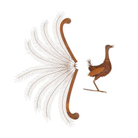 Lyrebird Rust In Display