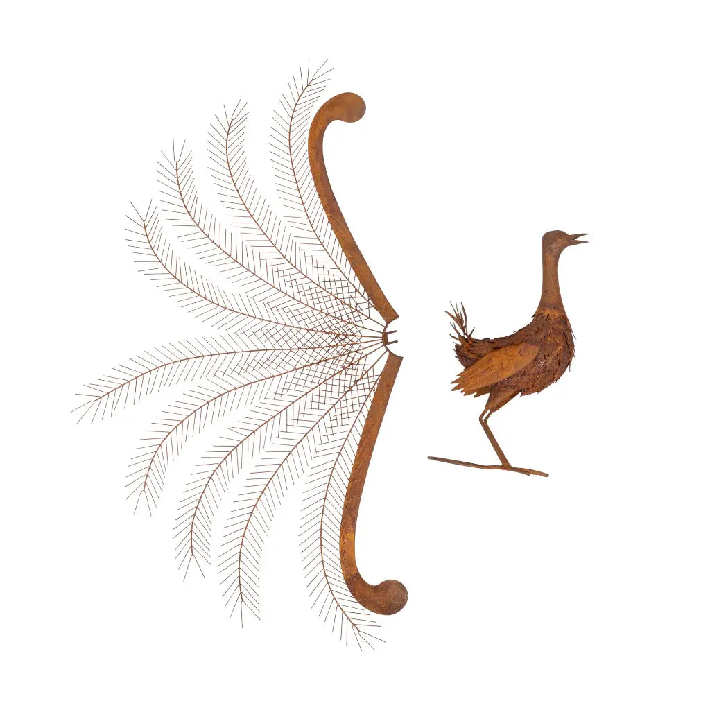 Lyrebird Rust In Display