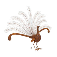 Lyrebird Rust In Display