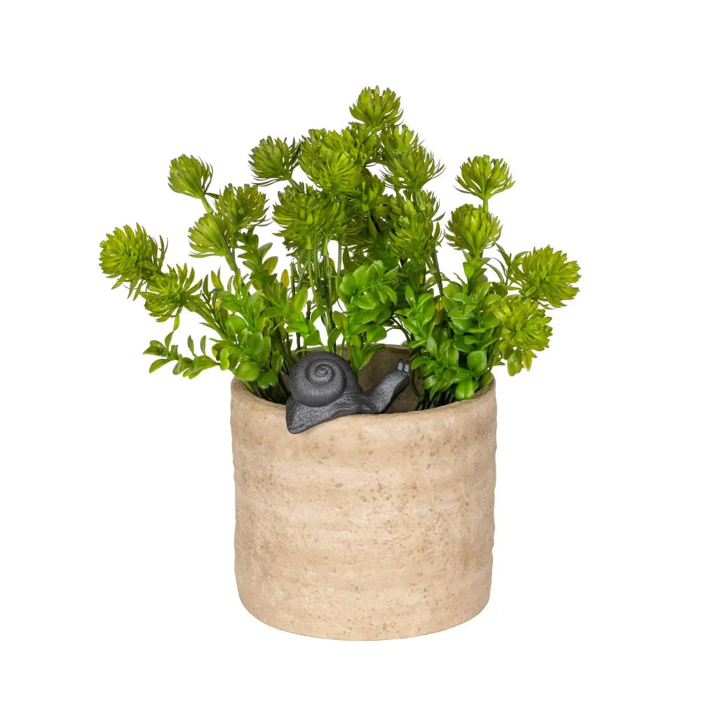Snail Pot Sitter