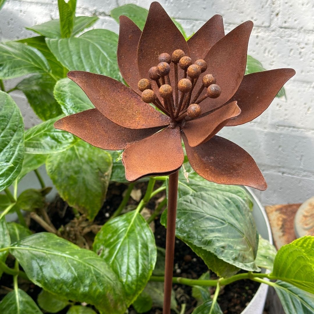 Large Rustic Lily