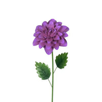 Dahlia Sticks Small
