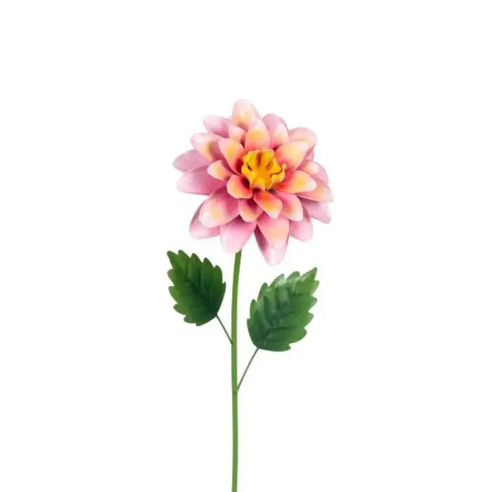 Dahlia Sticks Small