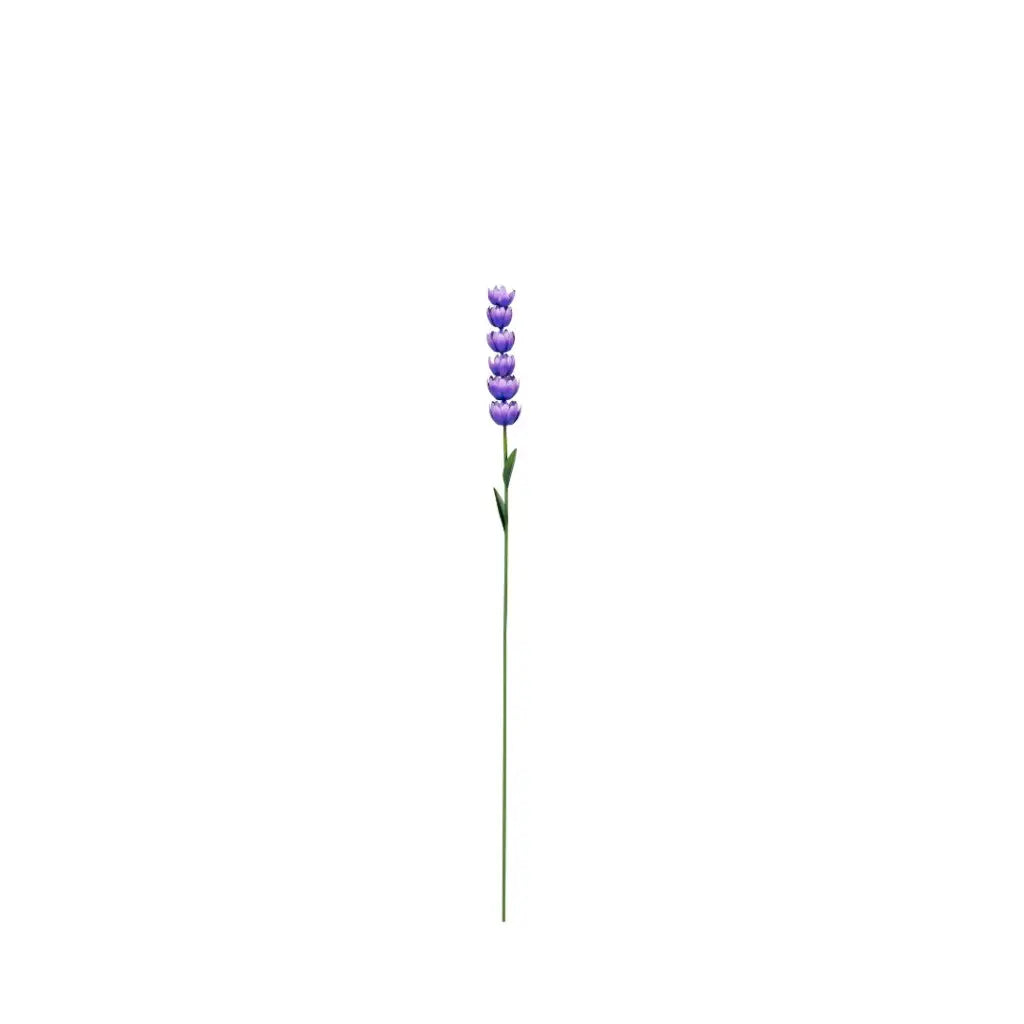 Delphinium Short