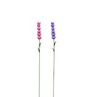 Delphinium Short