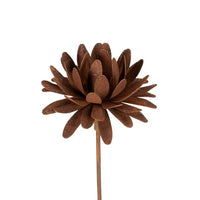 Dahlia Rust Flower
