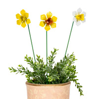 Daffodil Stick