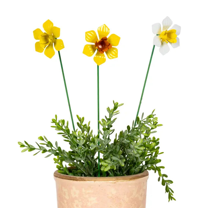 Daffodil Stick
